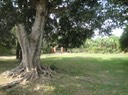 DSC03976