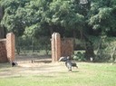 DSC03977