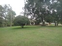 DSC03979