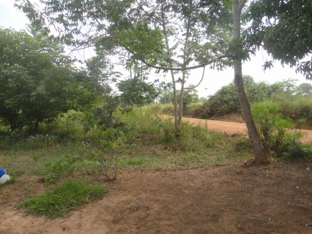 DSC03998