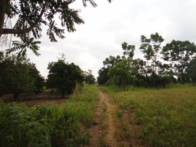 DSC04016