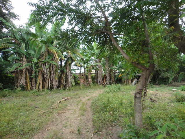 DSC04018