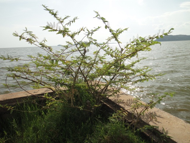 DSC04024