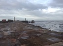 IMG_0261