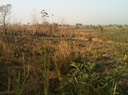 IMG_0927