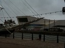 IMG_2154